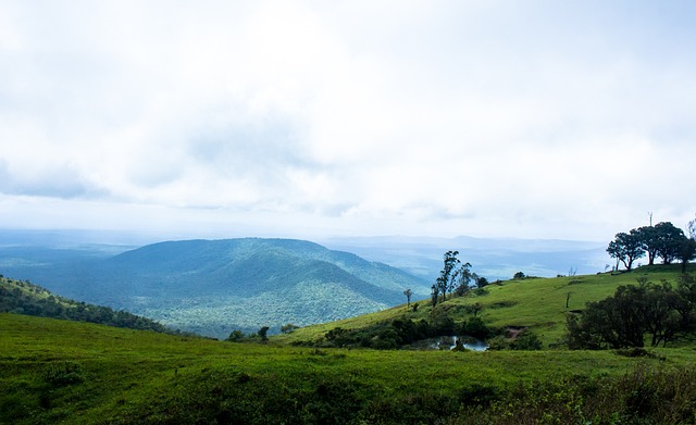赋予了本次 赋予了本次