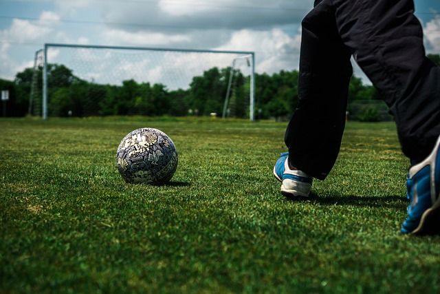 至全球的体 至全球的体