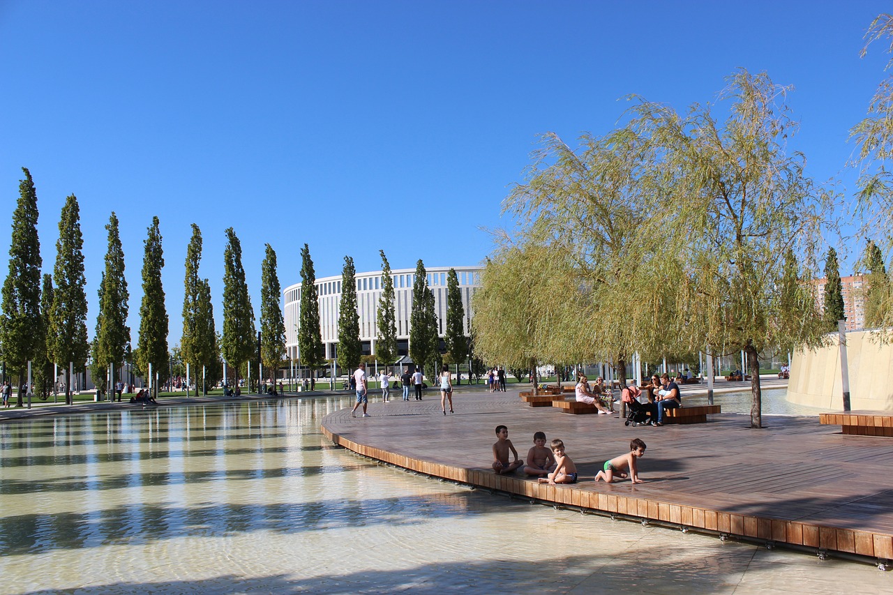 中展现了自 中展现了自