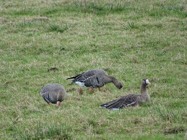 激励了更多 激励了更多
