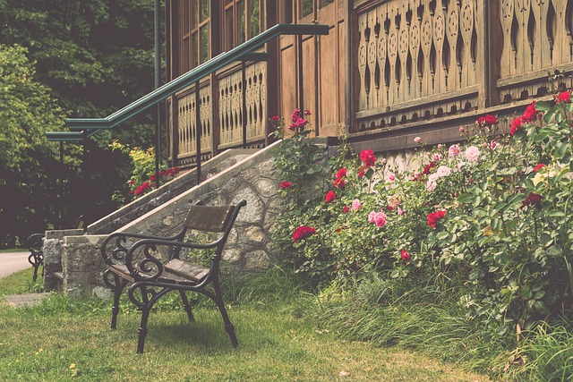 的发展奠定 的发展奠定